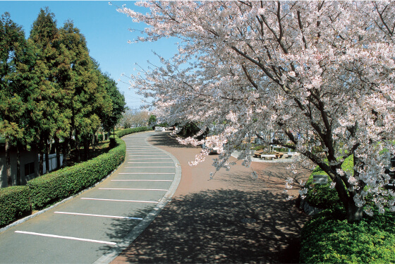 大型駐車場