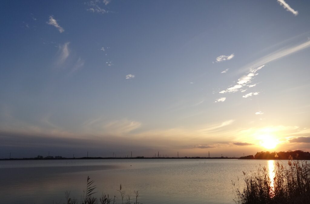 【苑内風景】